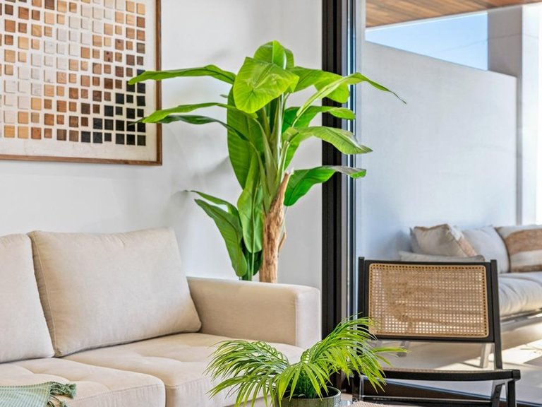 Apartment for Sale in Los Alcázares, Murcia 2