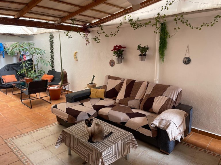 Apartment for Sale in Alicante, Alicante 15