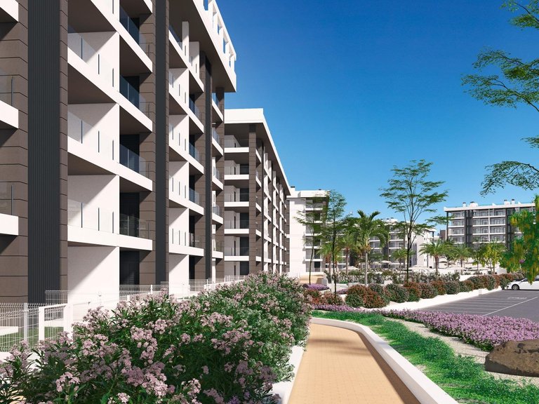 Penthouse for Sale in Torrevieja, Alicante 12