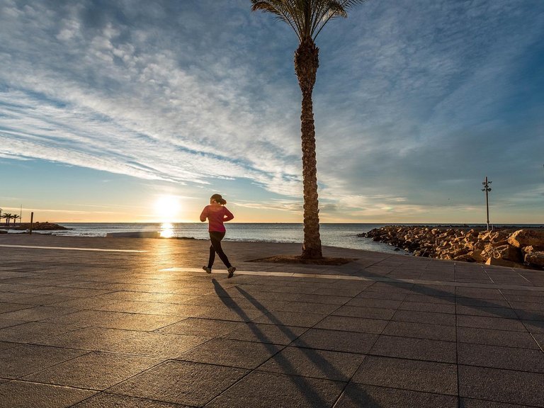Apartment for Sale in Torrevieja, Alicante 16