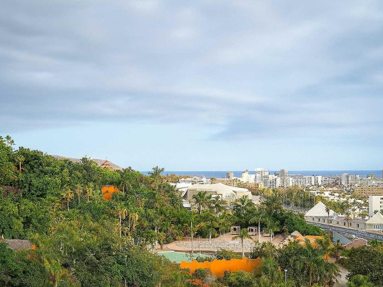 Apartment for Sale in Adeje, Tenerife 4