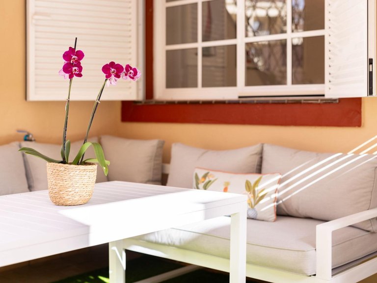 Apartment for Rent in Arona, Tenerife 27