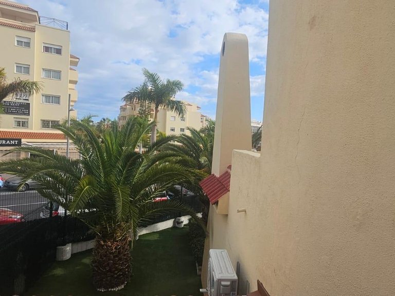 Apartment for Rent in Adeje, Tenerife 11