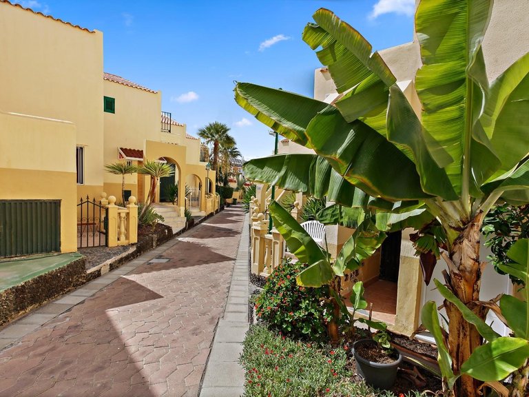Apartment for Rent in Adeje, Tenerife 16