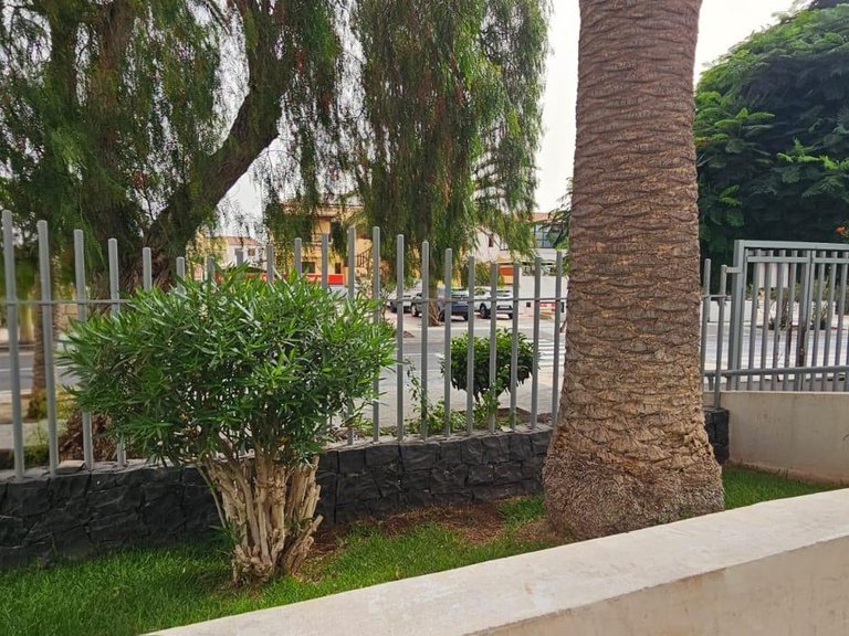 Apartment for Sale in Arona, Tenerife 2