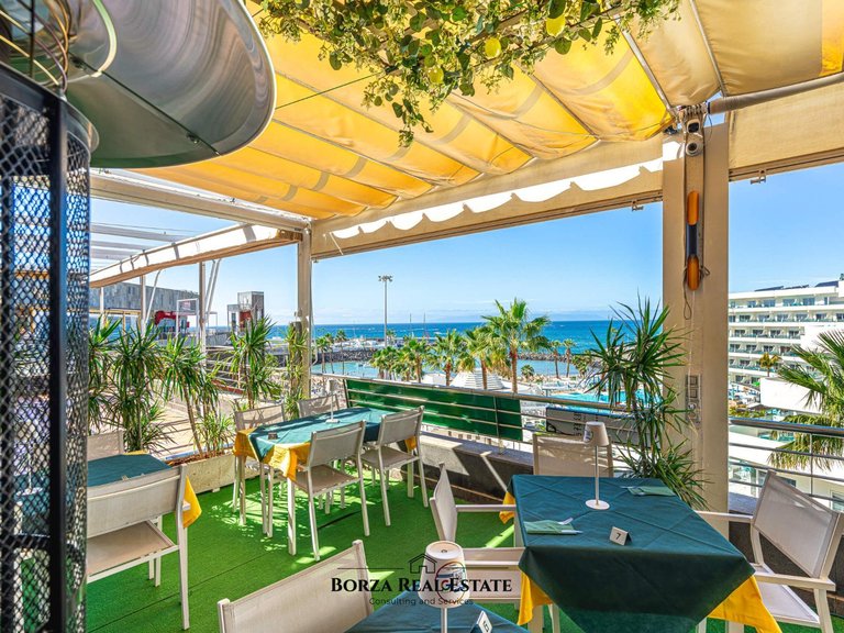 Commercial for Rent in Adeje, Tenerife 37