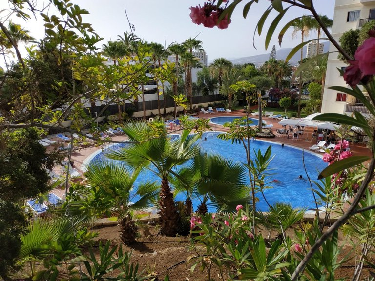 Apartment for Sale in Arona, Tenerife 13