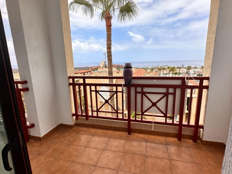 Apartment for Sale in Arona, Tenerife 6