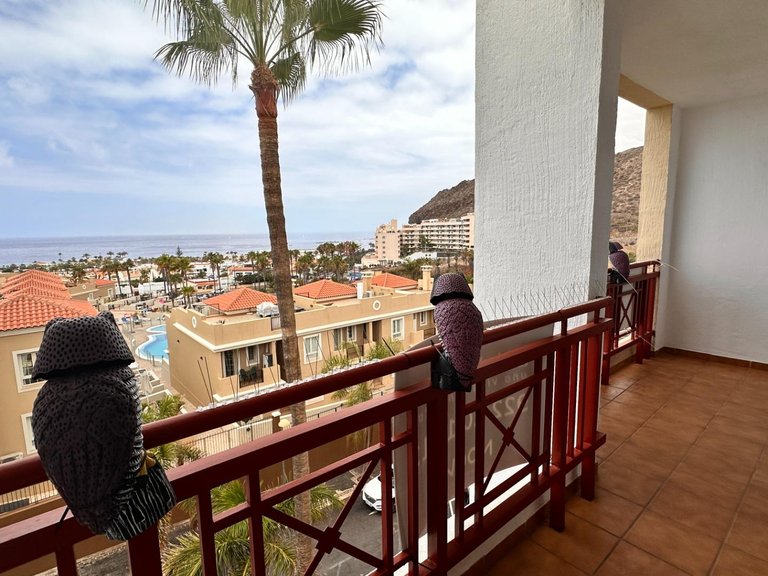 Apartment for Sale in Arona, Tenerife 8