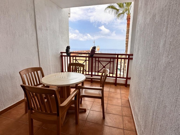 Apartment for Sale in Arona, Tenerife 9