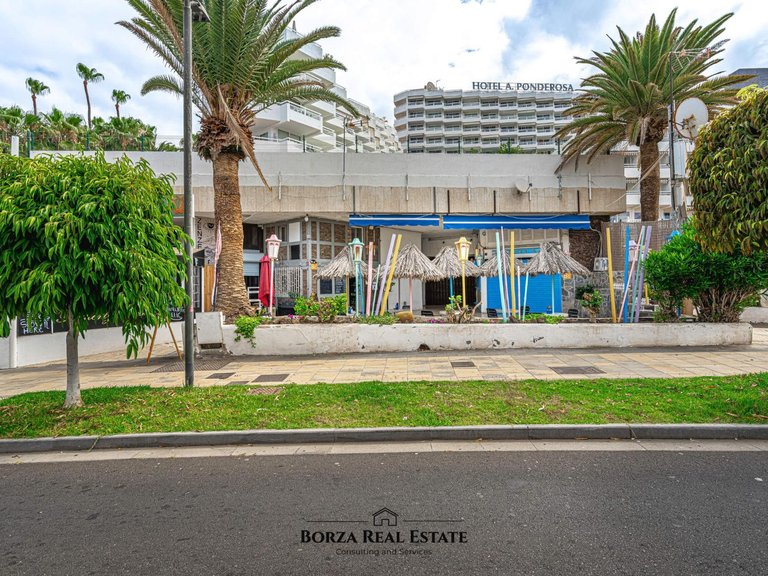 Commercial for Rent in Adeje, Tenerife 25