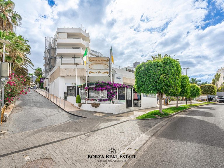 Commercial for Rent in Adeje, Tenerife 26