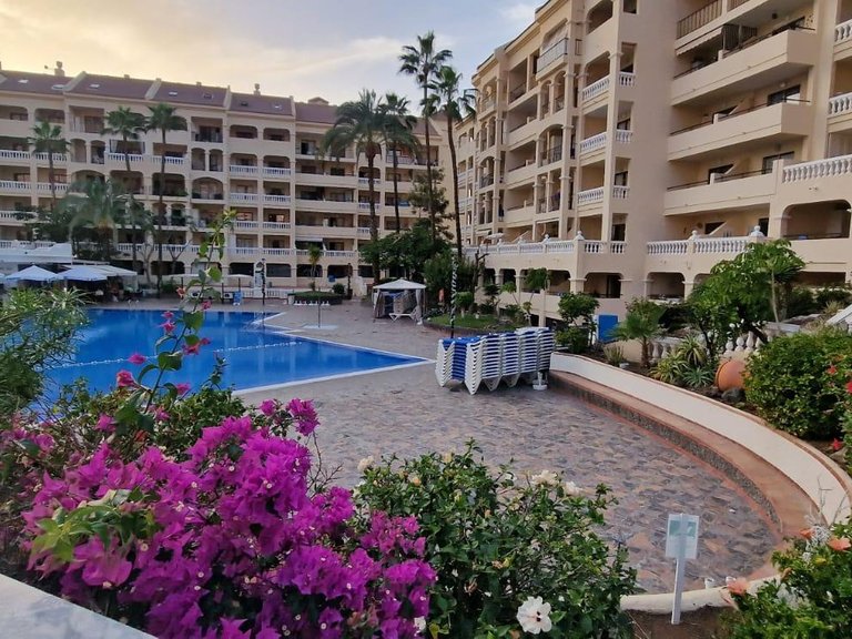 Apartment for Rent in Arona, Tenerife 18