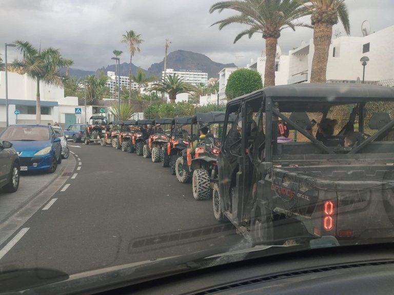 Commercial for Rent in Guia De Isora, Tenerife 14