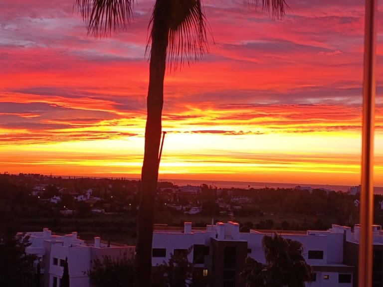 Apartment for Sale in  Estepona, Malaga 30