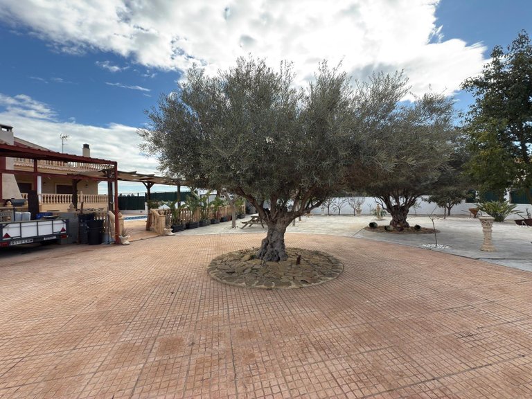 Villa for Sale in Almoradi, Alicante 49