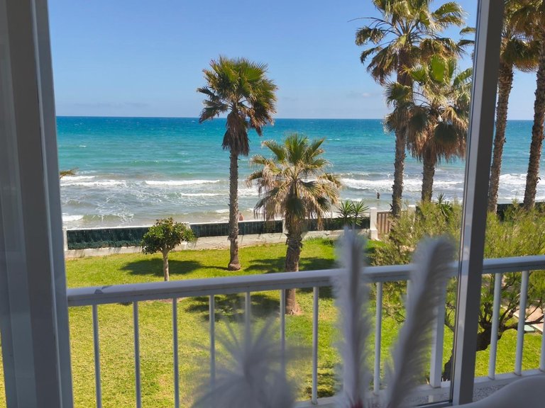 Apartment for Sale in Elche, Alicante 10