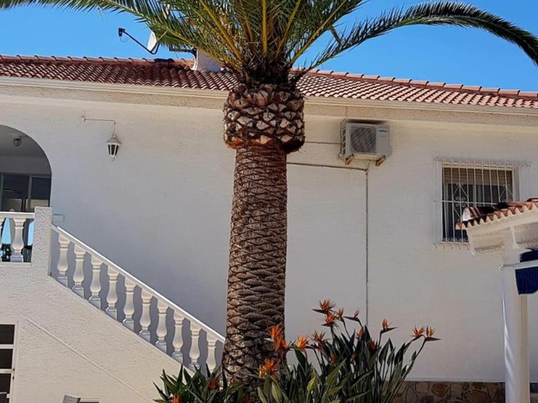 Villa for Sale in Rojales, Alicante 11
