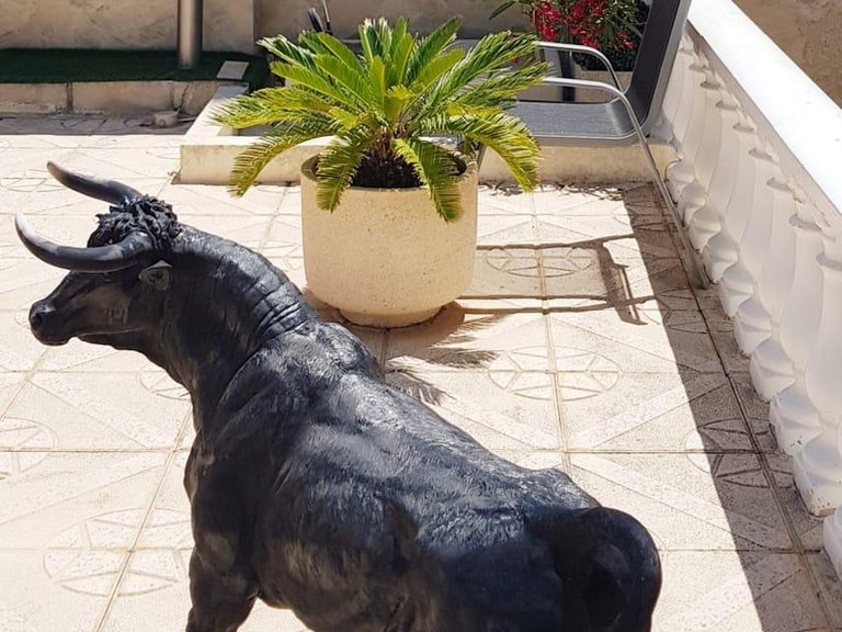Villa for Sale in Rojales, Alicante 3