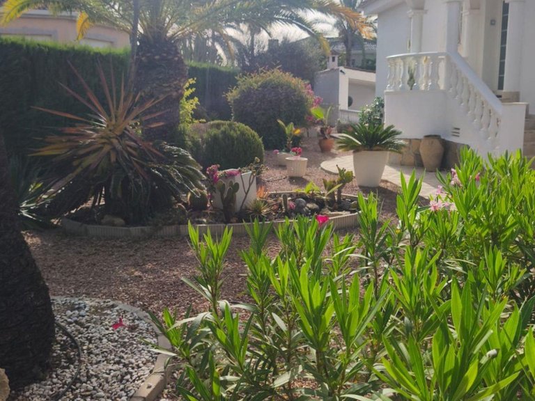 Villa for Sale in Rojales, Alicante 30