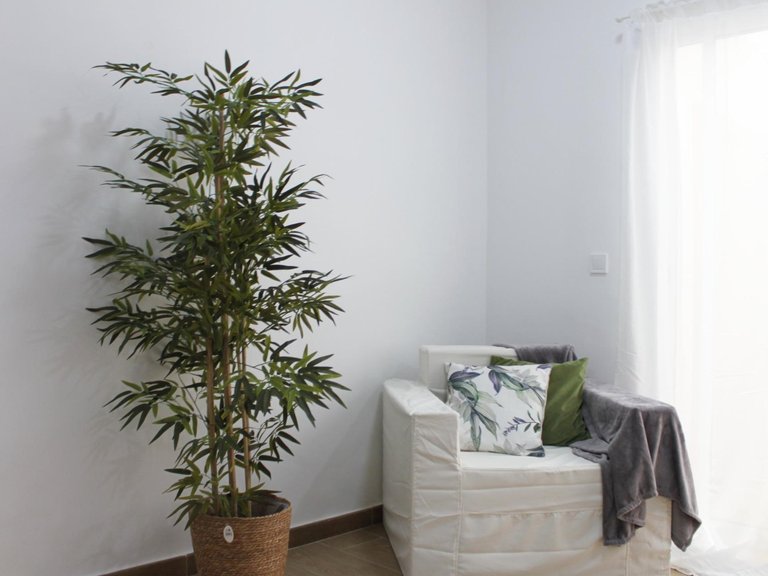 Apartment for Sale in Alicante, Alicante 25