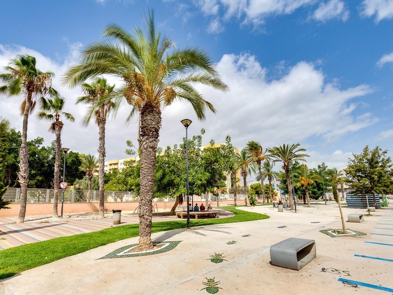 Apartment for Sale in Torrevieja, Alicante, 24