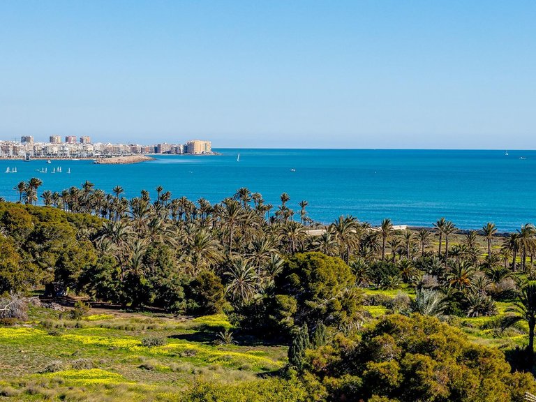 Villa for Sale in Torrevieja, Alicante, 43