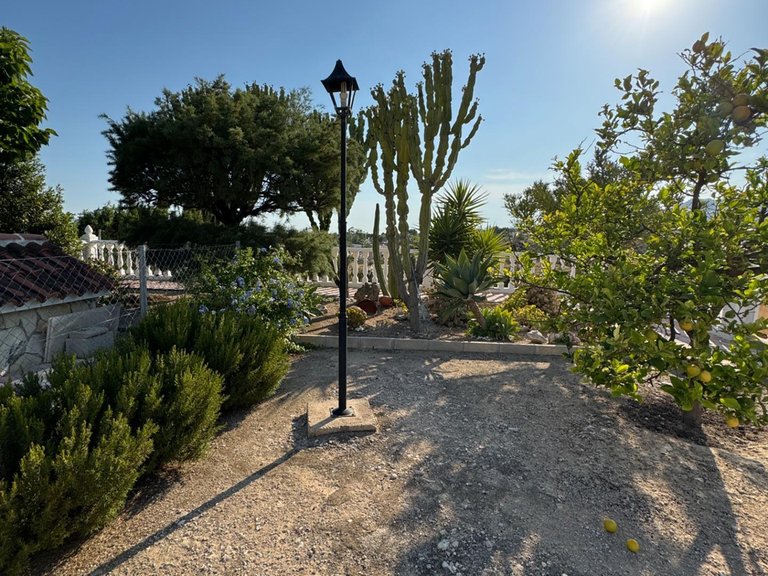 Villa for Sale in Inland Albatera, Alicante 10