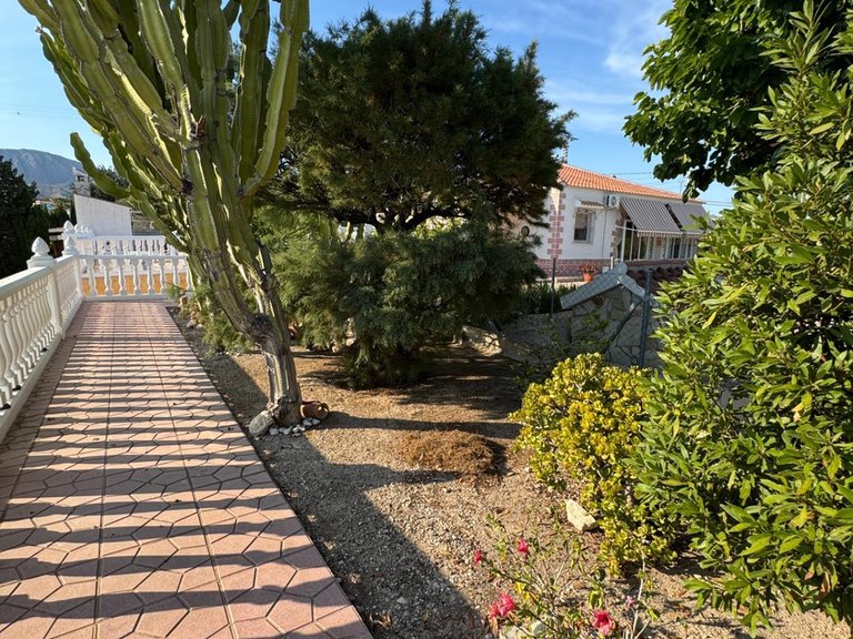Villa for Sale in Inland Albatera, Alicante 12