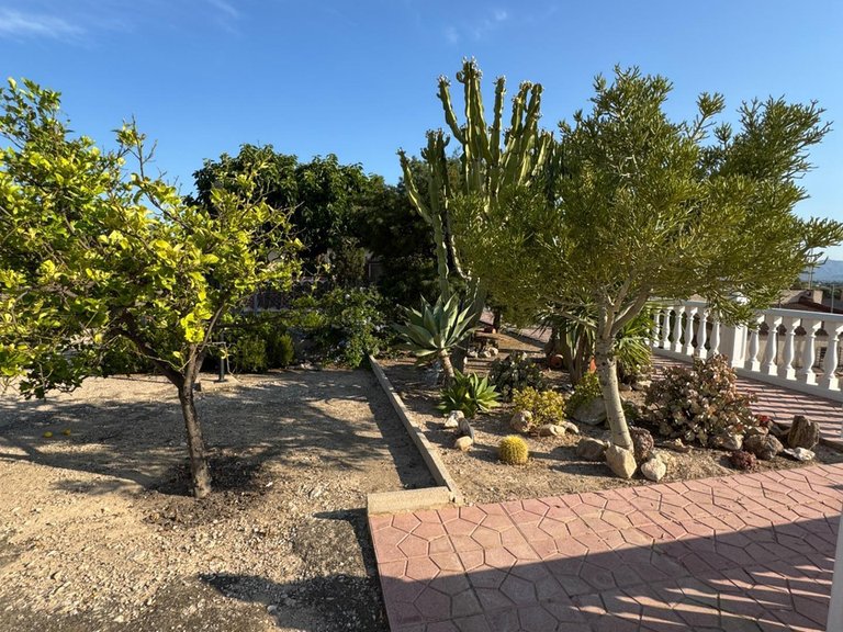 Villa for Sale in Inland Albatera, Alicante 13