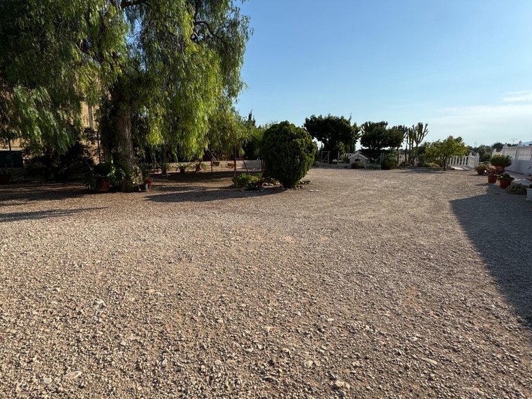 Villa for Sale in Inland Albatera, Alicante 14