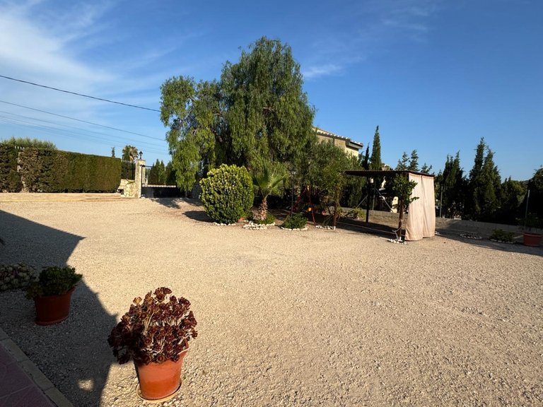 Villa for Sale in Inland Albatera, Alicante 15