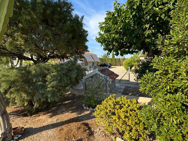 Villa for Sale in Inland Albatera, Alicante 7