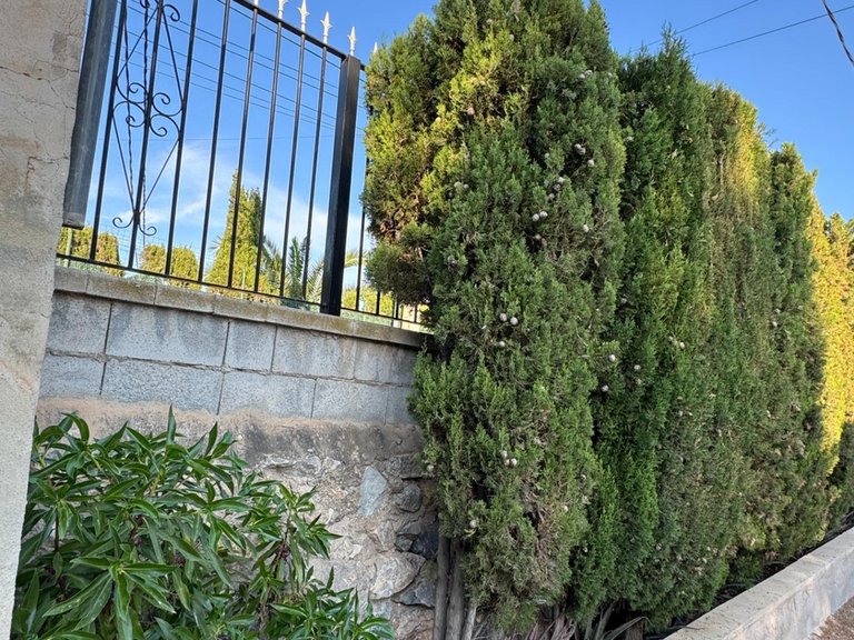 Villa for Sale in Inland Albatera, Alicante 8