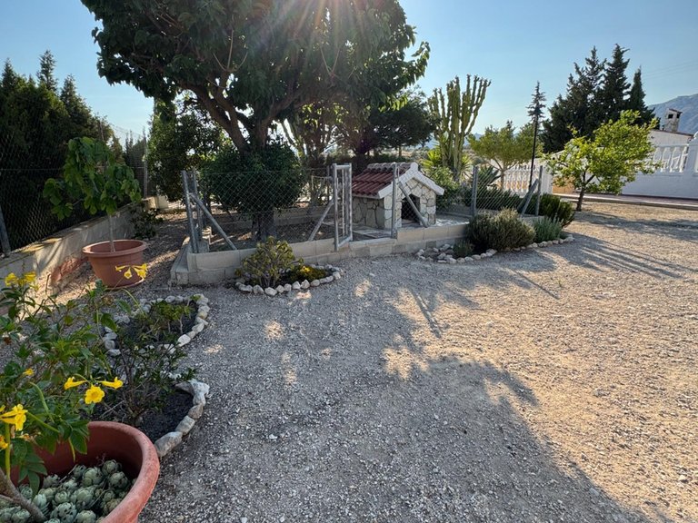 Villa for Sale in Inland Albatera, Alicante 9