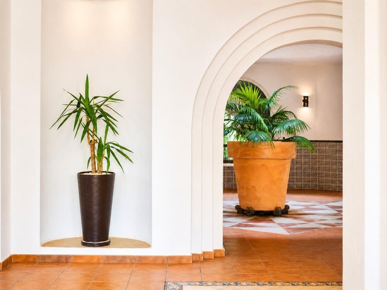 Apartment for Sale in Costa Blanca Torrevieja, Alicante 17