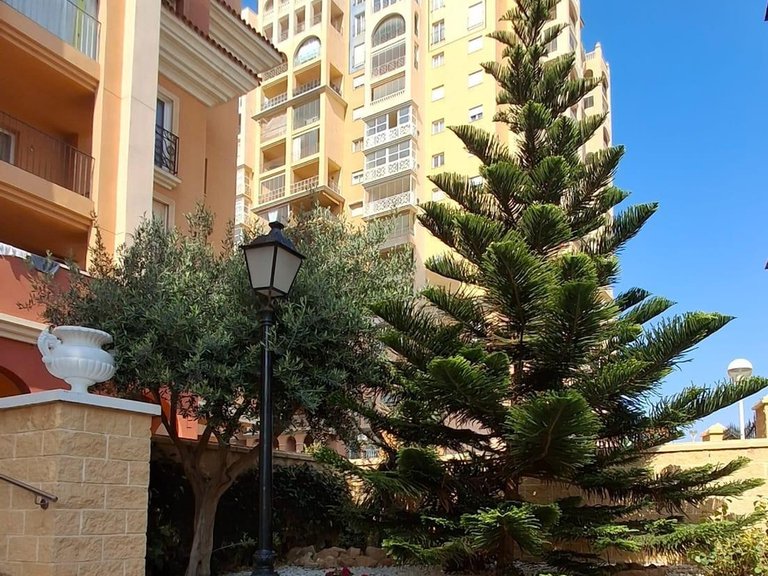 Apartment for Sale in Costa Blanca Torrevieja, Alicante 22