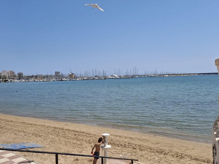 Apartment for Sale in Costa Blanca Torrevieja, Alicante 4