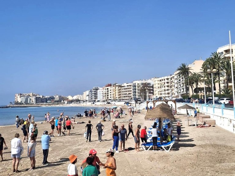Apartment for Sale in Torrevieja, Alicante 21