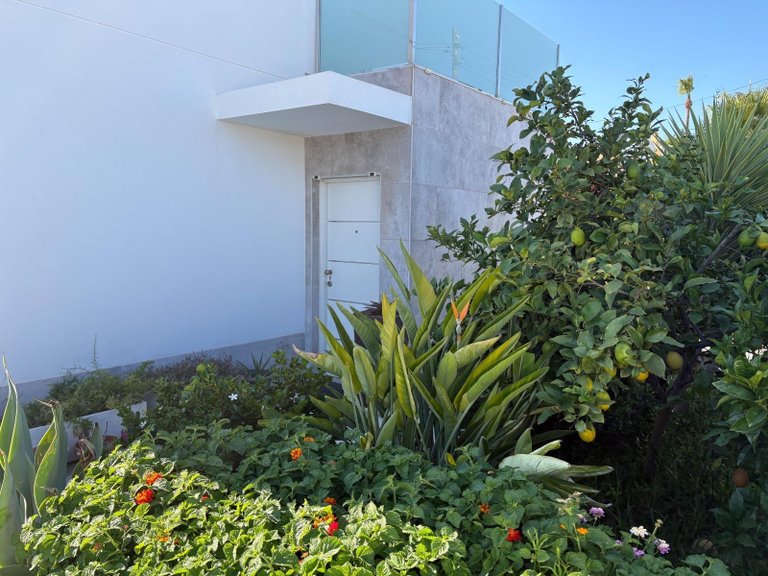 Villa for Sale in Costa Blanca Torrevieja, Alicante 4