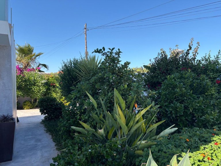 Villa for Sale in Costa Blanca Torrevieja, Alicante 5