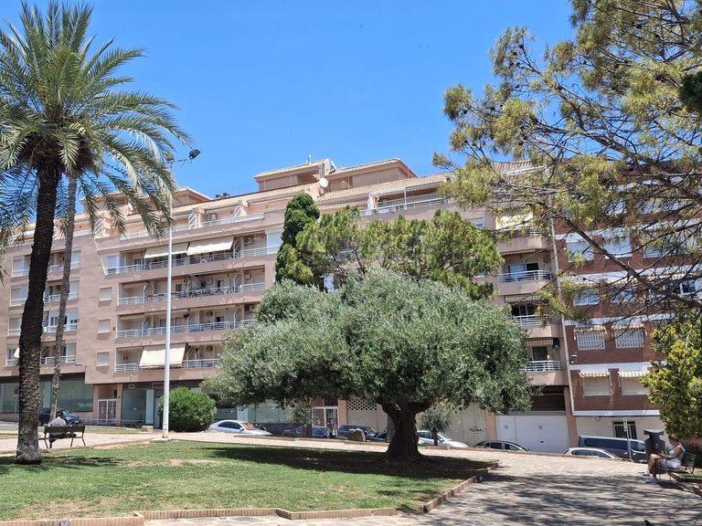 Apartment for Sale in Torrevieja, Alicante 3