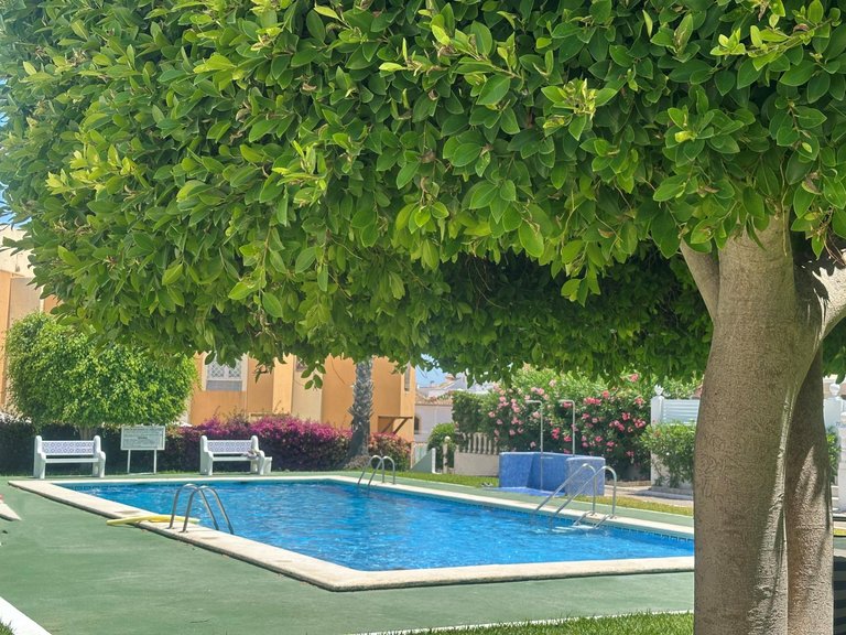 Villa for Sale in Torrevieja, Alicante 13