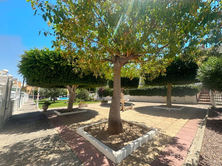 Villa for Sale in Torrevieja, Alicante 17