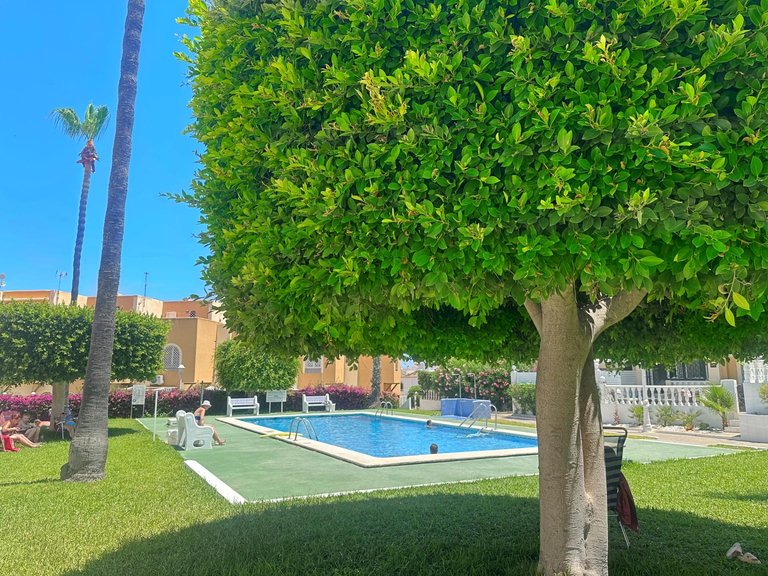 Villa for Sale in Torrevieja, Alicante 21