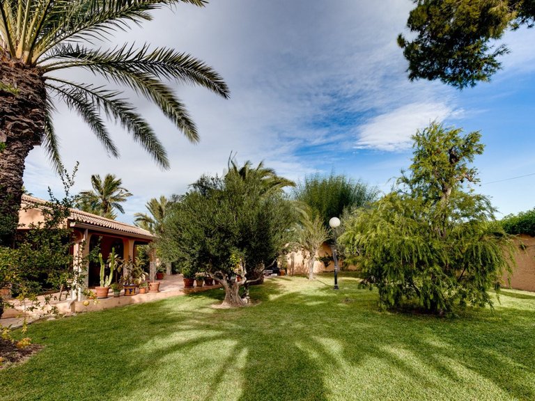Villa for Sale in Costa Blanca Torrevieja, Alicante 16