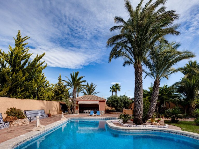 Villa for Sale in Costa Blanca Torrevieja, Alicante 33