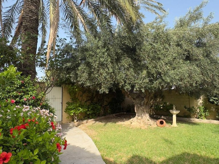 Villa for Sale in Costa Blanca Orihuela Costa, Alicante 11