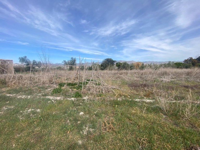 Plot for Sale in Tijola, Almeria 11