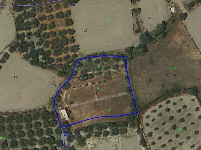 Plot for Sale in Tijola, Almeria 4